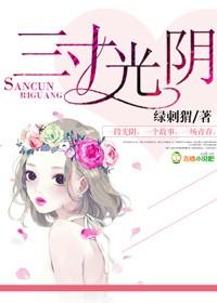 三寸光阴TXT