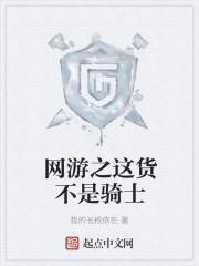 网游之这货不是骑士顶点