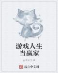 游戏人生什么意思?
