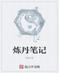 炼丹笔记 目录共558章