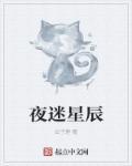 夜迷藏在线看
