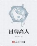 冒牌高人txt