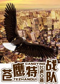 铁血战鹰队在线阅读