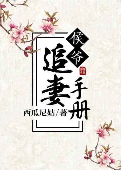 侯爷追妻手册讲的是什么