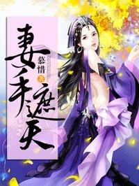 妻手遮天第二百七十六章