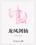 龙凤宝剑的年代