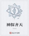 播放神探
