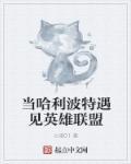 当哈利波特遇见英雄联盟3Q