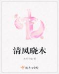 晓风清露所有作品集