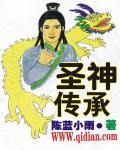 dnf传承圣物套可以升级吗