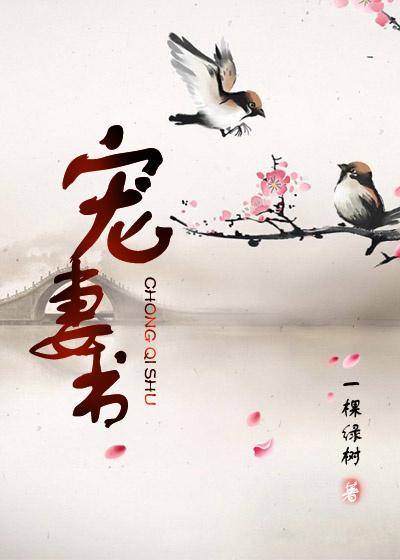 宠妻书 百度