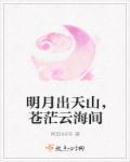 苍茫云海间表达的情感