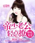 帝少盛宠小娇妻作者不是秦小雀