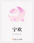 宁欢梦醉