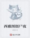 TG动画西雅图之夜