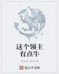 这个领主有点卷
