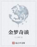 金梦是什么电视剧