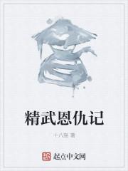 精武门武打片
