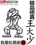 极品修仙大帝免费全文阅读