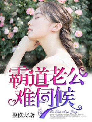 霸道老公难伺候景蓝燕北