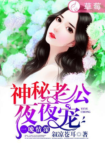 一夜蜜宠神秘老公宠入怀