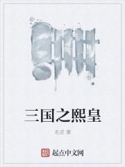 三国之熙皇蔡文姬