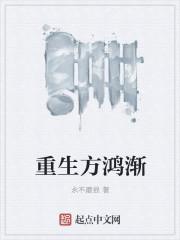 方鸿天重生之1976全文阅读