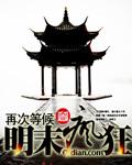 明末疯狂笔趣阁免费阅读