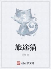旅途猫丢了预示着什么