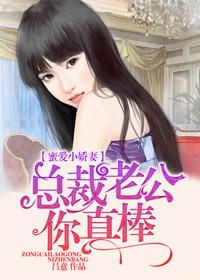 总裁老公你真棒内容