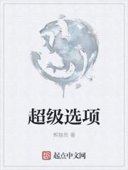 超级快充选项