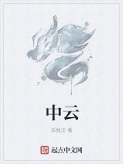 中云控股集团有限公司