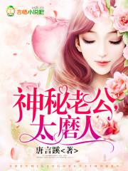 神秘老公太腹黑