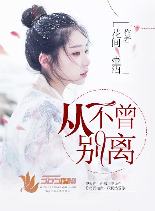 从不曾离去是什么歌