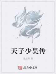 少年天子主演