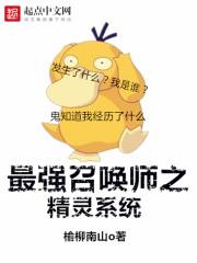 最强召唤师番外肉