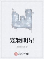 宠物明星巧克力