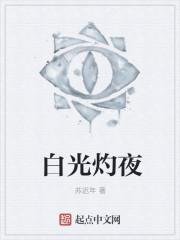 搜索白夜光羽