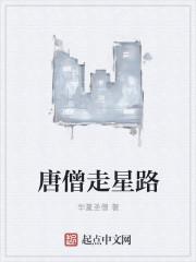 唐僧走到哪了