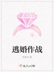 逃婚记的原著