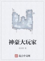 神豪之大玩家