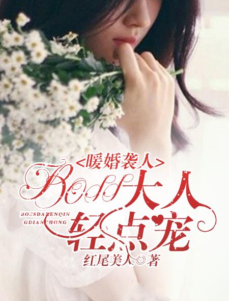 暖婚轻宠妻免费