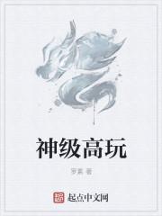 神级高手玩网游