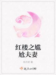 红楼之尴尬夫妻 百度