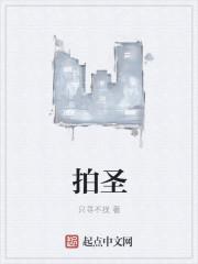 拍圣殿骑士的电影有什么