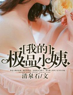 我的极品小姨全文免费阅读