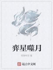 弈星主什么技能