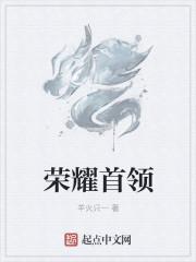 王者荣耀的荣耀领袖