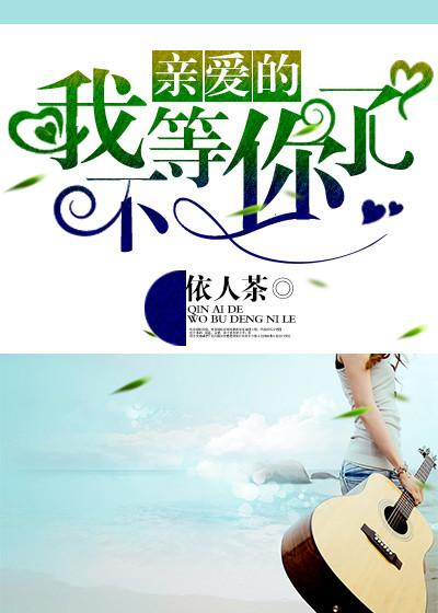 我不等你了简介