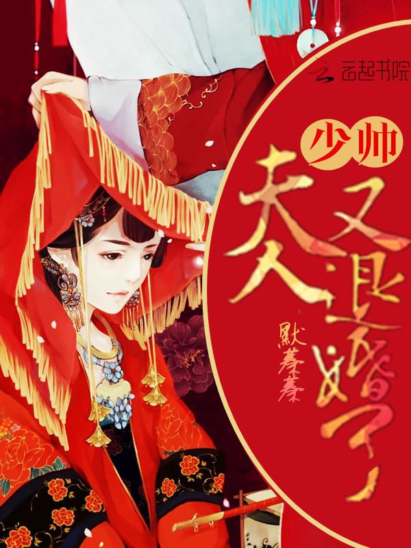 少帅夫人要退婚笔趣阁